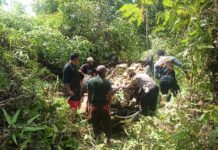 Laka Tunggal di Malili, Minibus Terbalik Usai Tabrak Pembatas Jalan