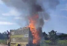 Truck Ekspedisi Terbakar di Jalan Trans Sulawesi Luwu Timur