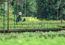 PT Vale Kampanyekan Perilaku Hidup Sehat dan Komitmen Pengurangan Emisi