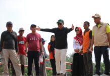 Akhir Pekan, Bupati Budiman Kunjungi 3 Objek Wisata Pantai Luwu Timur