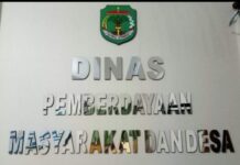 Surat Edaran Pj Gubernur Sulsel Perintahkan Desa Tanam Pisang, Ini Kata DPMD Luwu Utara