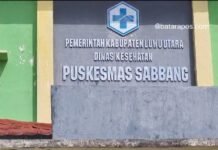 Breaking News, Ratusan Nakes di Luwu Utara Mogok Kerja