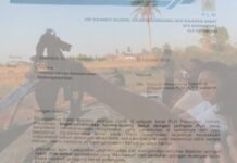 Tidak Ingin Ambil Resiko, PT. PLN ULP Patangkai : Hindari Tempat Ini Saat Bermain Layang-layang !