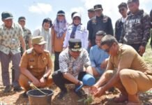 Bersama PJ Gubernur, Asrul Sani Lakukan Pencanangan Gerakan Gemar Menanam Pisang