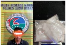 Miliki Shabu Seberat 30.92 Gram, Satu Warga Sidrap Diamankan Satres Narkoba Polres Luwu Utara