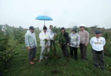 Tanam Pohon di Lappa Laona, Dirjen Planologi KLHK Apresiasi Upaya Vale Rehabilitasi Lahan DAS