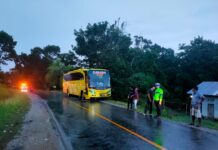 Bus Garuda Tabrakan dengan Honda Beat di Malili, Kaki Korban Putus