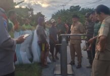 Tim Gabungan Disdagkoprinum Luwu Timur Monitoring Penjualan Gabah Petani