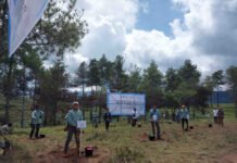 PT Vale Rehabilitasi DAS di Tana Toraja, Tanam 424 Ribu Bibit Pohon