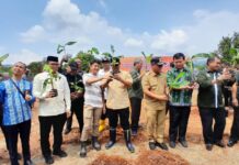 Kunker di Luwu Timur, Pj Gubernur Sulsel Tanam Pisang