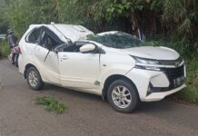 Mobil Minibus Tertimpa Pohon di Wasuponda, Satu Korban Asal Tomoni