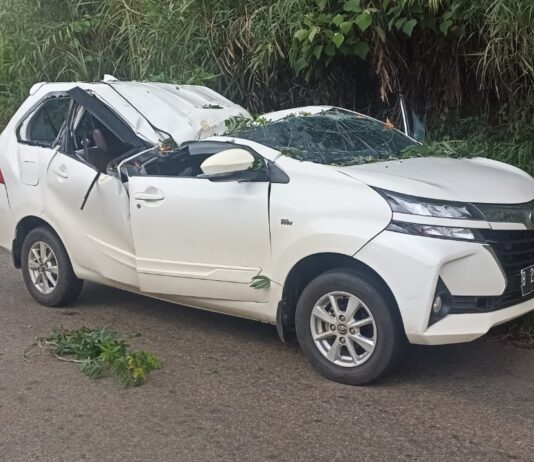 Mobil Minibus Tertimpa Pohon di Wasuponda, Satu Korban Asal Tomoni