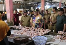 Pj. Gubernur Sulsel Akan Koordinasi dengan Kemendag RI Agar Lutim Punya Pasar Harian