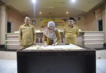 Bapperida Luwu Utara Gelar Forum Konsultasi Publik Ranwal RKPD Tahun 2025
