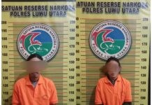 Dua Terduga Pelaku Narkoba Ditangkap di Luwu Utara