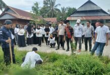 Pelantikan KPPS, Komisioner KPU Luwu Utara Ikut Tanam Pohon di Desa Buntu Torpedo