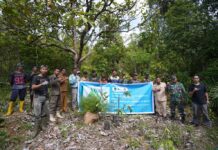 PT Vale Sinergi Pemda Lutim, Tanam Pohon di Areal Persetujuan Penggunaan Kawasan Hutan