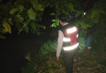 Warga Towuti Dikabarkan Hilang di Sungai, Polisi dan Tim SAR Masih Lakukan Pencarian