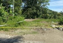 Terungkap Identitas Jenazah Wanita Ditemukan di Walenrang, Ada Luka Tusuk Dibagian Dada