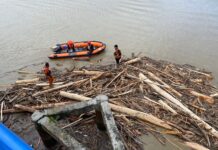Ini Penyebab Banyaknya Material Kayu yang Terbawa Luapan Sungai Malili