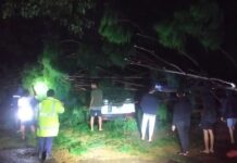 Berikut Jumlah Rumah Rusak Diterjang Angin Puting Beliung di Sorowako, Ada Motor dan Mobil
