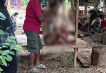 Warga Malili Luwu Timur Diterkam Buaya