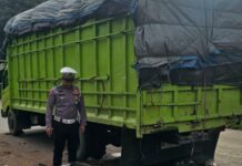 Pengendara Motor di Wasuponda Tewas Tabrak Truck Parkir
