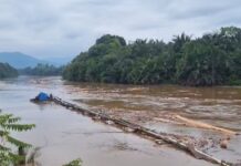 Warga Heboh, Sampah Kayu Hanyut Sepanjang Sungai Malili