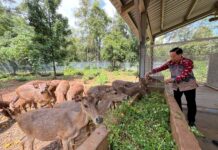 Ketua Pengadilan Tinggi Makassar Apresiasi Pengelolaan Lingkungan PT Vale
