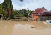 Tanggul Sungai Rongkong Jebol, Permukiman Warga Terendam Banjir Hingga Satu Meter