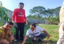 Pegawai RSUD ILagaligo Tanam Pohon, Gerakan Hari Peduli Ki Saya Jaga Ki