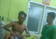 Tabrakan Beruntun di Luwu Timur, Sopir Truck Kontainer Ugal-Ugalan Mabuk Cap Tikus