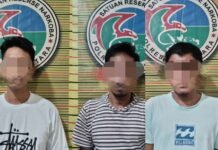 Polisi Lakukan Pengembangan, Tiga Orang Terduga Pelaku Narkoba di Luwu Utara Diamankan, Ada Yang DPO