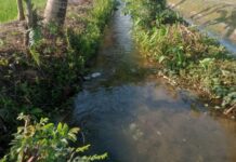 APBD Luwu Timur Rp. 1,9 Triliun, Irigasi 300 Meter Puluhan Tahun Meluap Tak Mampu Dibenahi