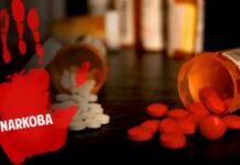 Januari Sampai Maret 2024, Satres Narkoba Polres Luwu Utara Ungkap 24 Kasus