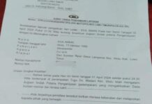 Polisi Diminta Tegas, Satu Korban Kena Lemparan Batu di Desa Madani Luwu Timur