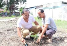 Hari Bumi Sedunia, RSUD I Lagaligo Tanam Pohon Sengon
