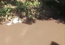 Masyarakat Resah, Limbah PTPN XIV Luwu Tumpah Lagi ke Sungai Lagego