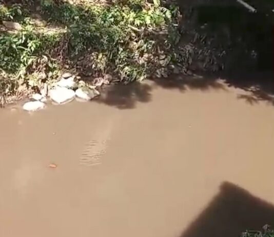 Masyarakat Resah, Limbah PTPN XIV Luwu Tumpah Lagi ke Sungai Lagego