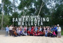 Pelatihan Kurikulum PT Vale, Kolaborasi untuk Pendidikan Berkualitas di Loeha Raya