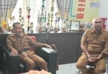 Dua Tower Jaringan di Luwu Utara Diduga Tidak Miliki Izin, Kadis PMPTSP : Sama Halnya Ilegal