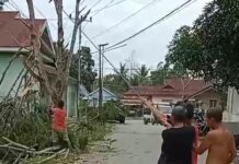 Respon Saran Masyarakat, Kades Lampenai Turun Langsung Bersihkan Jalan Penghubung Desa