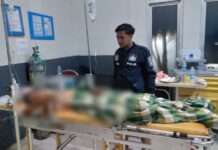 Gegara Sebutir Telur Ayam Mengeram, Warga di Luwu Timur Ditebas Parang