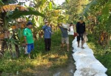 Antisipasi Luapan Sungai, Warga Cendana Hitam Timur Gotong Royong Pasang Geobag