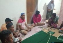 Lahan Sawah Berubah Jadi Kebun Jagung, Petani di Luwu Keluhkan Harga Anjlok