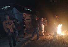 Ratusan Mobil Tertahan Akibat Pekerjaan Proyek di Mangkutana, Penumpang : Lebaran di Hutan