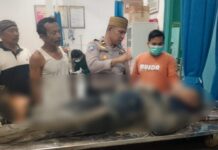 Penemuan Mayat di Sawah Angkona, Keluarga Tolak Lakukan Autopsi