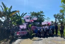 Jalan Rusak Parah, Aliansi Masyarakat Baebunta Selatan Lakukan Aksi Tanam Pohon Pisang