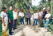 Dorong Kesejahteraan Petani, Pemkab Morut Bangun 178 Jalan Usaha Tani Menuju Pusat Pertanian