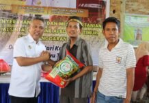 Dongkrak Produksi Pertanian, Bupati Luwu Timur Serahkan Alsintan ke UPJA